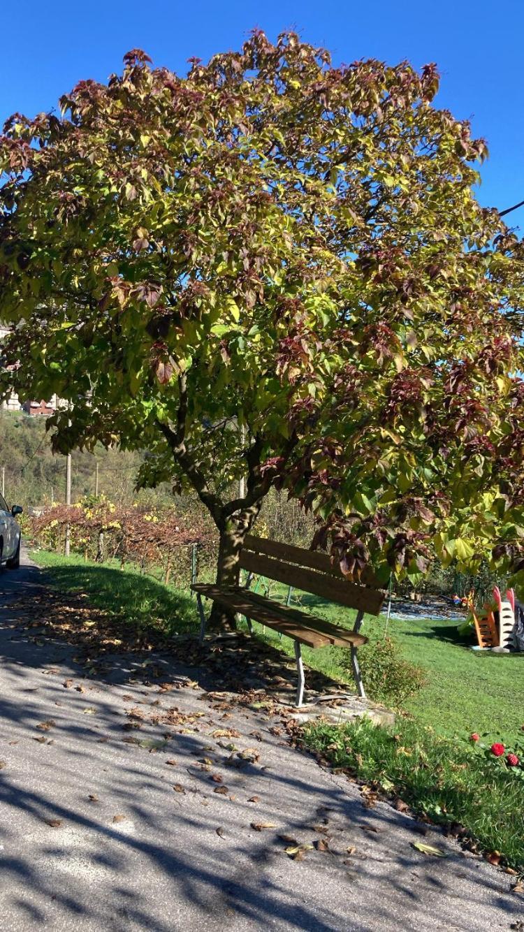 Cascina Uertigher Gorno Extérieur photo